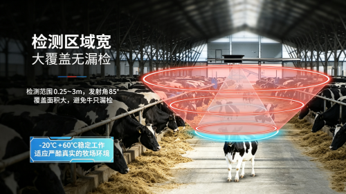 178721190331913.png 图片比例调整 (1)_副本.png