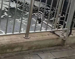 /zh/hangyedongtai/1367.html