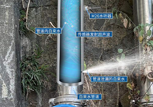 水听器 水听器