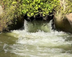 177388725497623.jpg 微信图片_20260306180711_469_163_副本.jpg