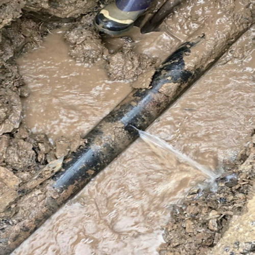 WPS图片1.png