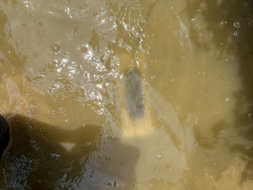 178062458143455.png 图片8.png